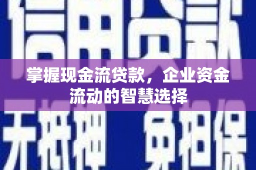 泸水掌握现金流贷款，企业资金流动的智慧选择