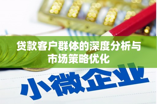 泸水贷款客户群体的深度分析与市场策略优化