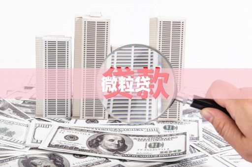 泸水微粒贷