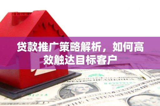 泸水贷款推广策略解析，如何高效触达目标客户
