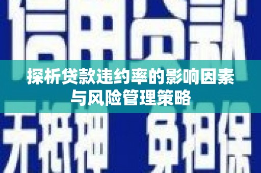 泸水探析贷款违约率的影响因素与风险管理策略