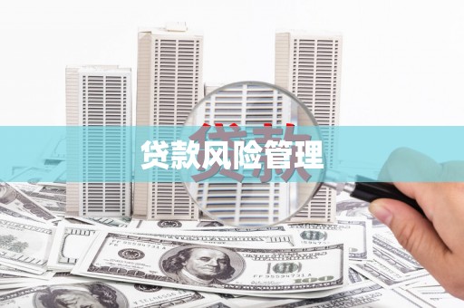 泸水贷款风险管理