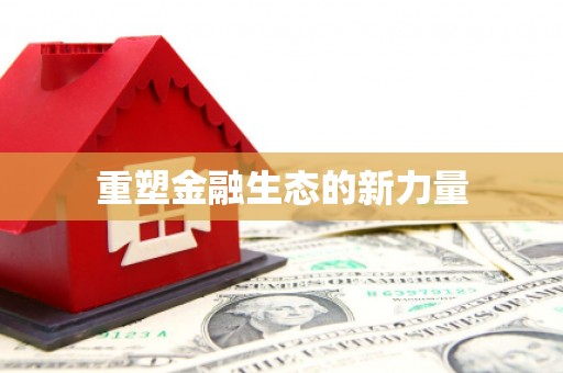 泸水重塑金融生态的新力量