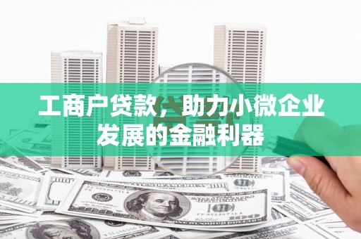 泸水工商户贷款，助力小微企业发展的金融利器
