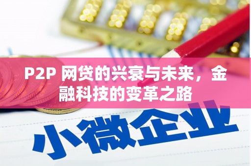 泸水P2P 网贷的兴衰与未来，金融科技的变革之路