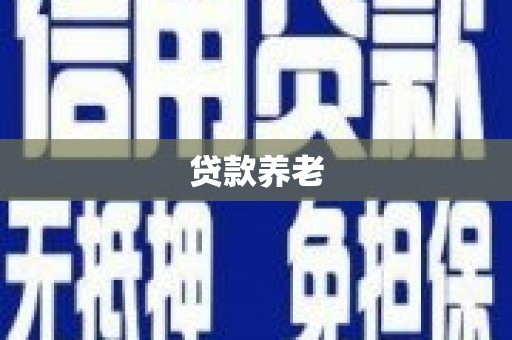 泸水贷款养老