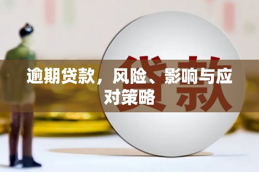 泸水逾期贷款，风险、影响与应对策略