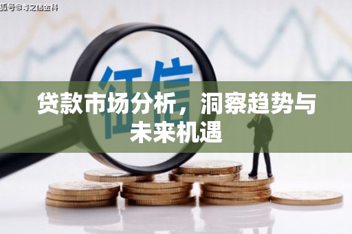 泸水贷款市场分析，洞察趋势与未来机遇