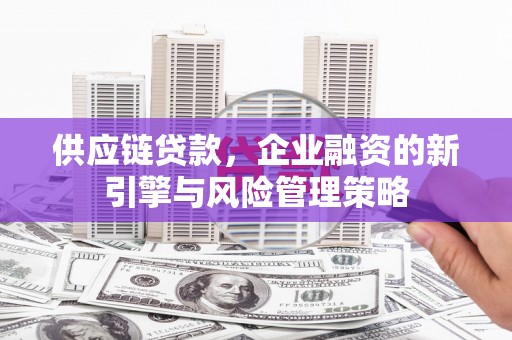 泸水供应链贷款，企业融资的新引擎与风险管理策略