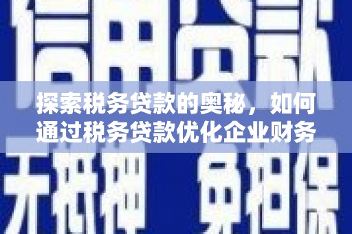 泸水探索税务贷款的奥秘，如何通过税务贷款优化企业财务