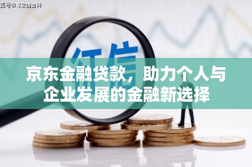 泸水京东金融贷款，助力个人与企业发展的金融新选择