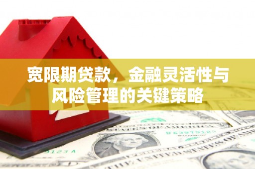 泸水宽限期贷款，金融灵活性与风险管理的关键策略
