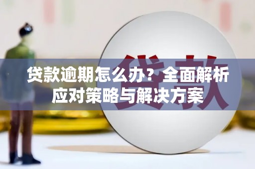 泸水贷款逾期怎么办？全面解析应对策略与解决方案