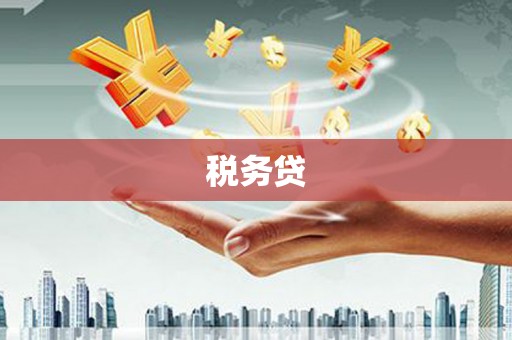 泸水税务贷