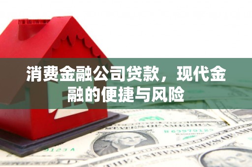 泸水消费金融公司贷款，现代金融的便捷与风险
