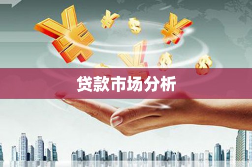 泸水贷款市场分析
