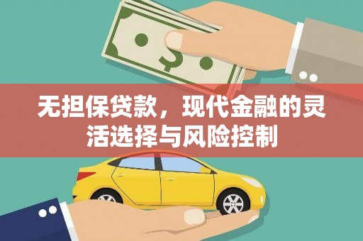 泸水无担保贷款，现代金融的灵活选择与风险控制