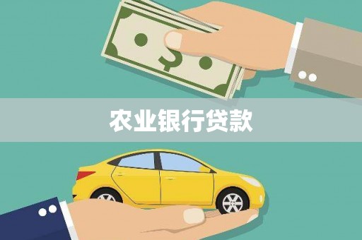 泸水农业银行贷款