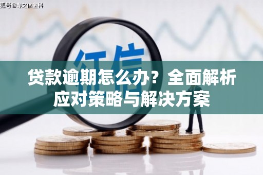 泸水贷款逾期怎么办？全面解析应对策略与解决方案
