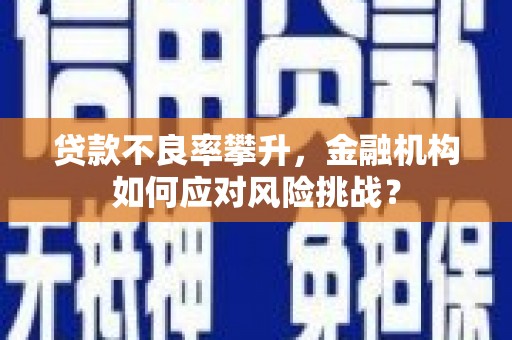 泸水贷款不良率攀升，金融机构如何应对风险挑战？