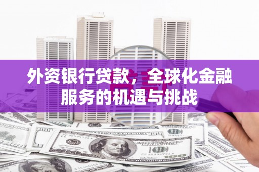 泸水外资银行贷款，全球化金融服务的机遇与挑战