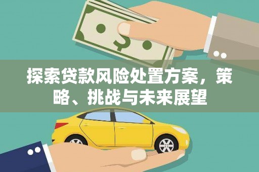 泸水探索贷款风险处置方案，策略、挑战与未来展望