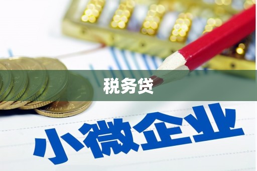 泸水税务贷