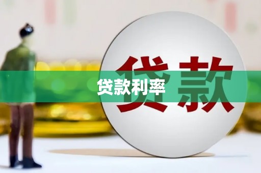 泸水贷款利率