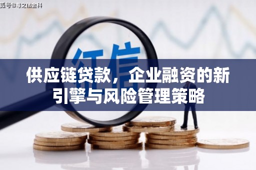 泸水供应链贷款，企业融资的新引擎与风险管理策略