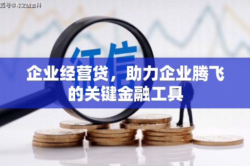 泸水企业经营贷，助力企业腾飞的关键金融工具