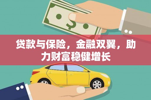 泸水贷款与保险，金融双翼，助力财富稳健增长