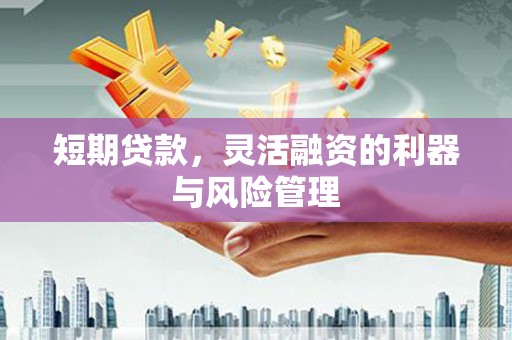 泸水短期贷款，灵活融资的利器与风险管理