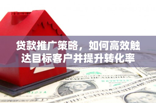 泸水贷款推广策略，如何高效触达目标客户并提升转化率