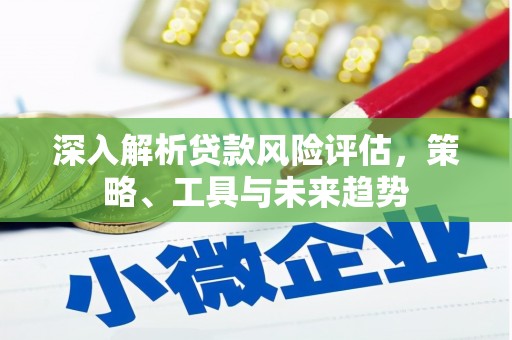 泸水深入解析贷款风险评估，策略、工具与未来趋势
