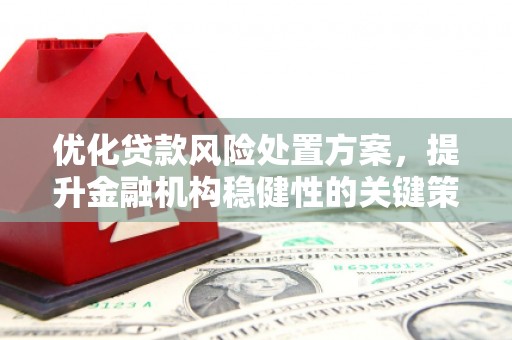 泸水优化贷款风险处置方案，提升金融机构稳健性的关键策略