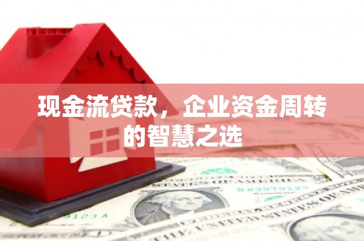 泸水现金流贷款，企业资金周转的智慧之选