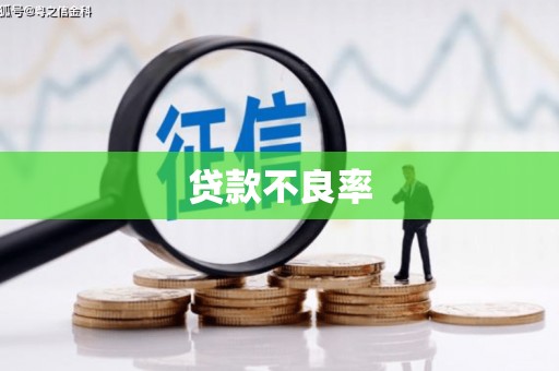 泸水贷款不良率