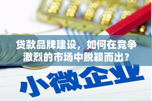 泸水贷款品牌建设，如何在竞争激烈的市场中脱颖而出？
