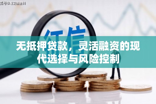 泸水无抵押贷款，灵活融资的现代选择与风险控制