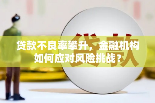 泸水贷款不良率攀升，金融机构如何应对风险挑战？