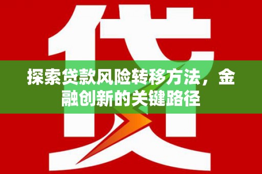 泸水探索贷款风险转移方法，金融创新的关键路径