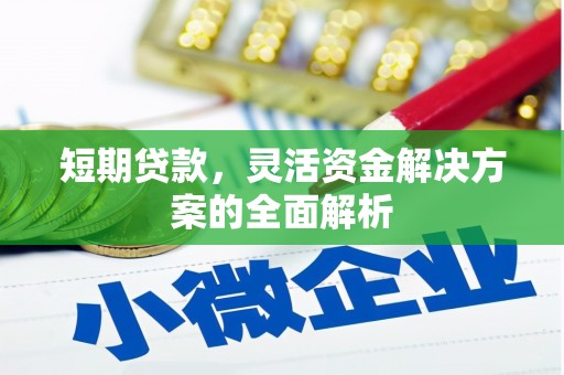 泸水短期贷款，灵活资金解决方案的全面解析
