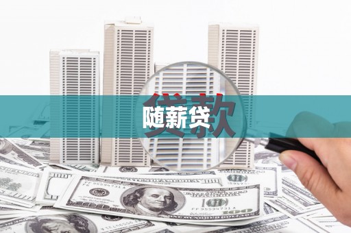 泸水随薪贷