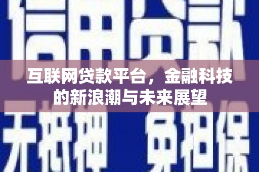 泸水互联网贷款平台，金融科技的新浪潮与未来展望