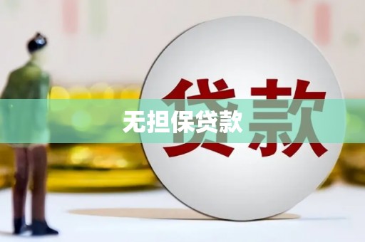 泸水无担保贷款