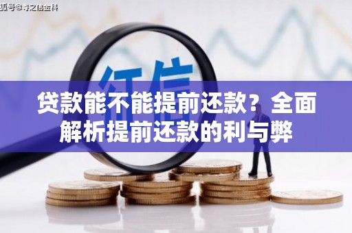 泸水贷款能不能提前还款？全面解析提前还款的利与弊