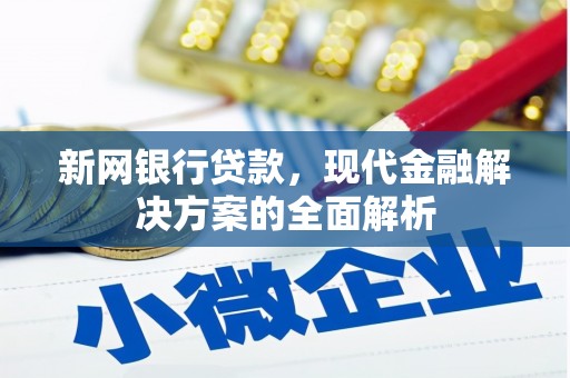 泸水新网银行贷款，现代金融解决方案的全面解析