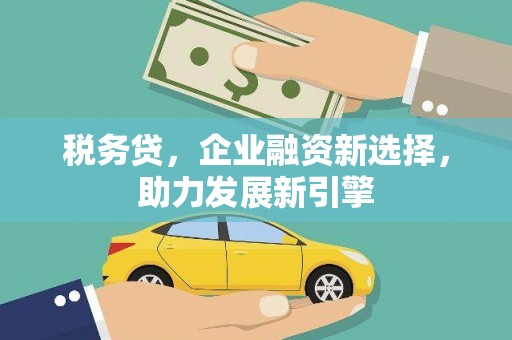 泸水税务贷，企业融资新选择，助力发展新引擎