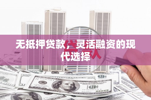 泸水无抵押贷款，灵活融资的现代选择