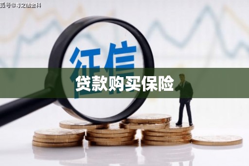 泸水贷款购买保险